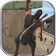 Ninja Samurai Assassin Hero II دانلود در ویندوز