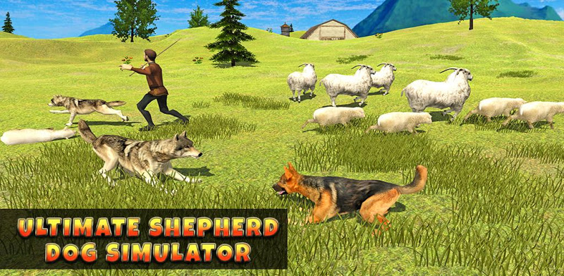 Herding Shepherd Dog Simulator