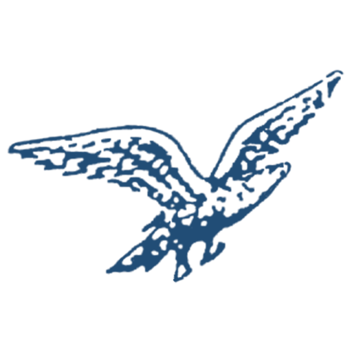 Eng Motor SG logo