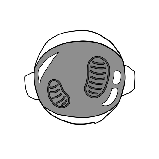 SpaceWalk logo