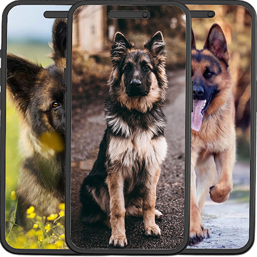 German Shepherd Wallpapers logo