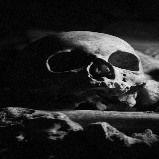 Android application Creepy wallpapers screenshort