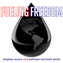 Icon image Fueling Freedom: Exposing the Mad War on Energy