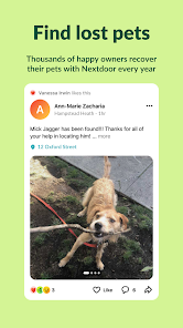 Nextdoor lost dogs sales