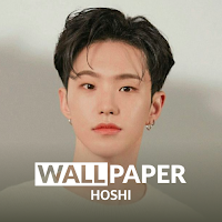 HOSHI Seventeen HD Wallpaper