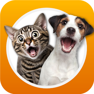 Play with Pets: Fun Pet App apk