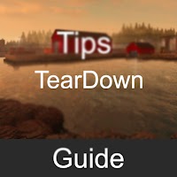 Guide For Teardown