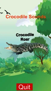 Crocodile and Alligator Sounds