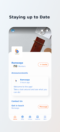 Romoogo Screen 3