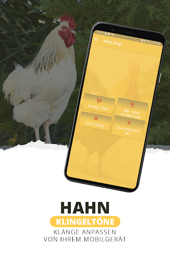 App-Vorschau