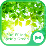 Nature Wallpaper Sun Filled Spring Green Theme icon