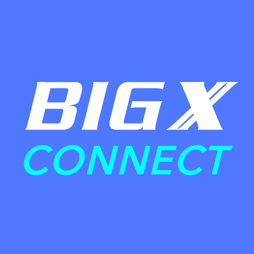 BIG X CONNECT logo