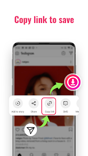 Instagram downloader 1