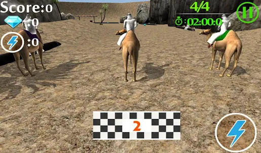camel Race