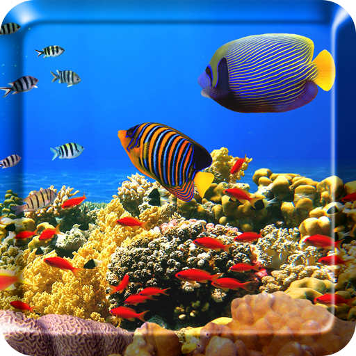 オーシャン魚ライブ壁紙 Google Play のアプリ