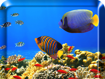 【ベストコレクション】 �� 壁紙 無料 189479-デスクト���プ 壁紙 無料 魚