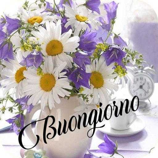 Buongiorno Immagini logo