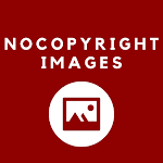 Cover Image of Download Nocopyright Images  APK