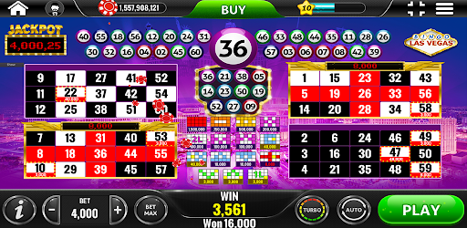 Amazonia Bingo - Social Casino 12