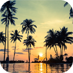 Cover Image of Tải xuống Sunset Wallpaper  APK