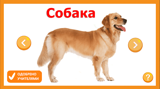Учим животные для малышей Screen 2