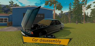 The Wildest Car - Screenshot 1