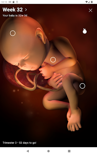 Screenshot of Pregnancy Tracker by Sprout