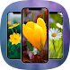 Flowers - Wallpaper in HD - Androidアプリ