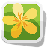 Acer Gallery icon