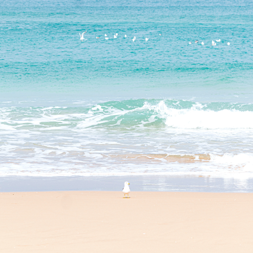 Strand-Hintergrundbild Auf Windows herunterladen
