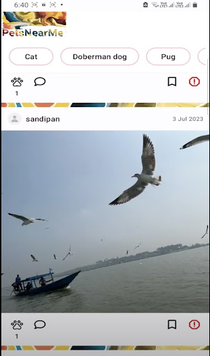 Android application PetsNearMe screenshort