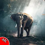 Cover Image of Unduh Animal Wallpapers HD 4K  APK