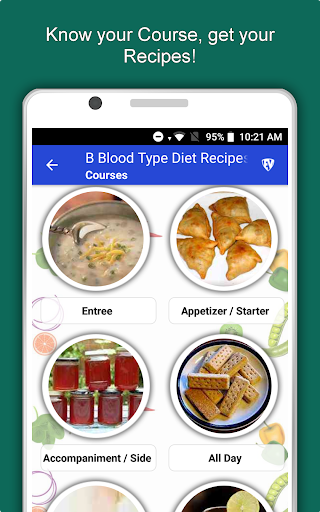 Screenshot of B Blood Type Recipes Diet Plan