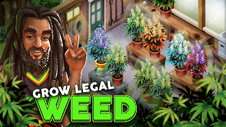 Game screenshot Hempire - Plant Growing Game mod apk