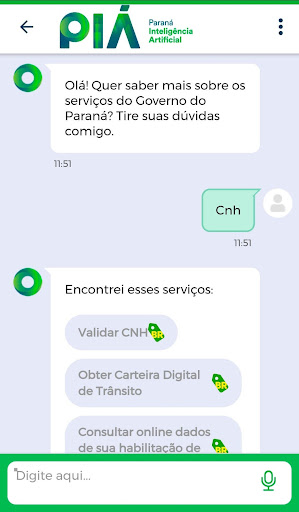PIÁ - Paraná Inteligência Arti