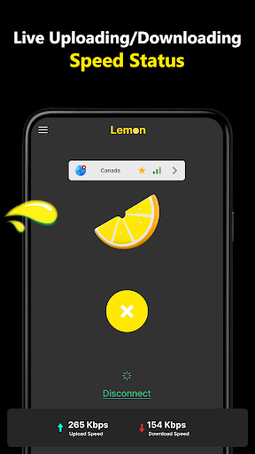Lemon VPN Proxy Screen 3