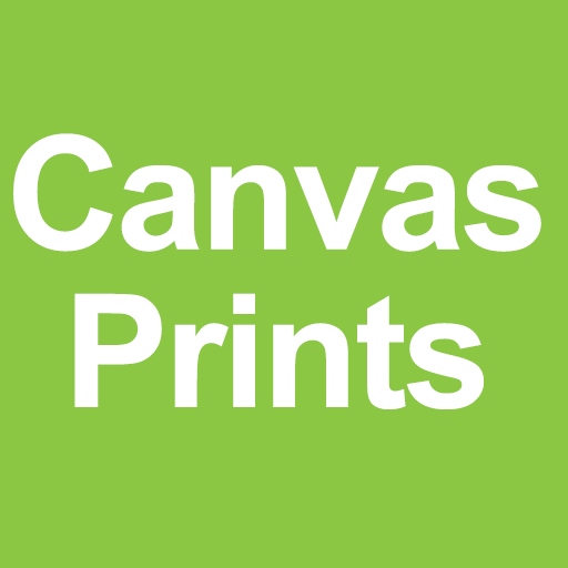Canvas Prints: Museum Quality logo