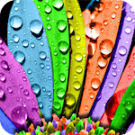 Cover Image of Download Colorful HD Wallpaper  APK