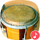 Bongo sonidos de tambor - Appp.io Descarga en Windows