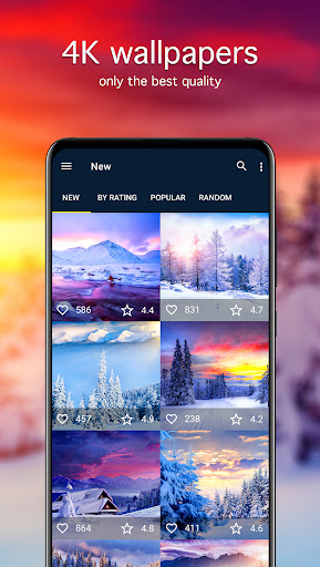 Screenshot of Winter Wallpapers PRO