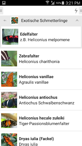 Schmetterlinghaus Wien DE