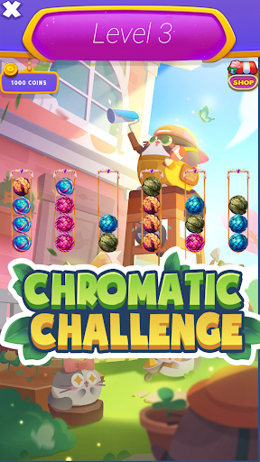 Chromatic Challenge: Braid Screen 3