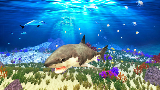 The Shark 3