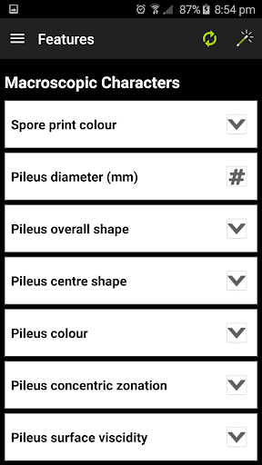 FunKey: Key to Agarics Screen 2