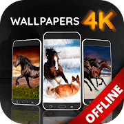Wallpapers with Horses - offline