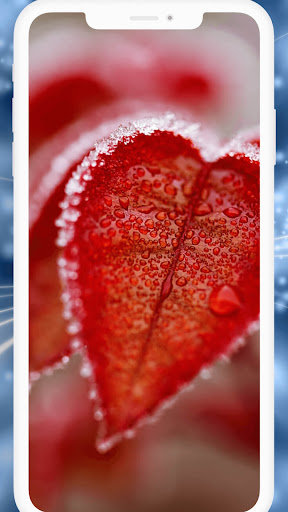 Winter Live Wallpapers HD Screen 3