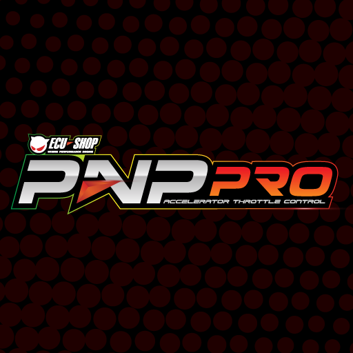 PnP Pro  Icon