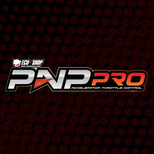 PnP Pro logo
