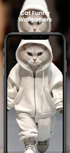 Cat Tenis Champions -Walls