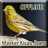 Master Kicau Kenari Juara Mp3 icon